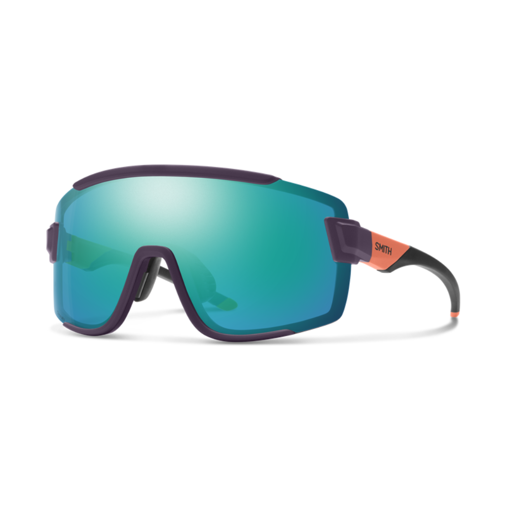 Gafas Smith Wildcat