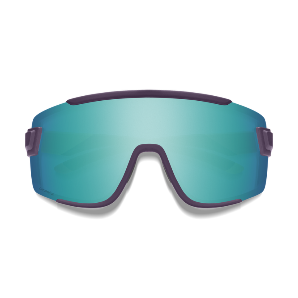 Gafas Smith Wildcat