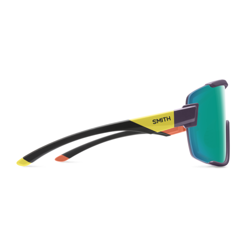 Gafas Smith Wildcat
