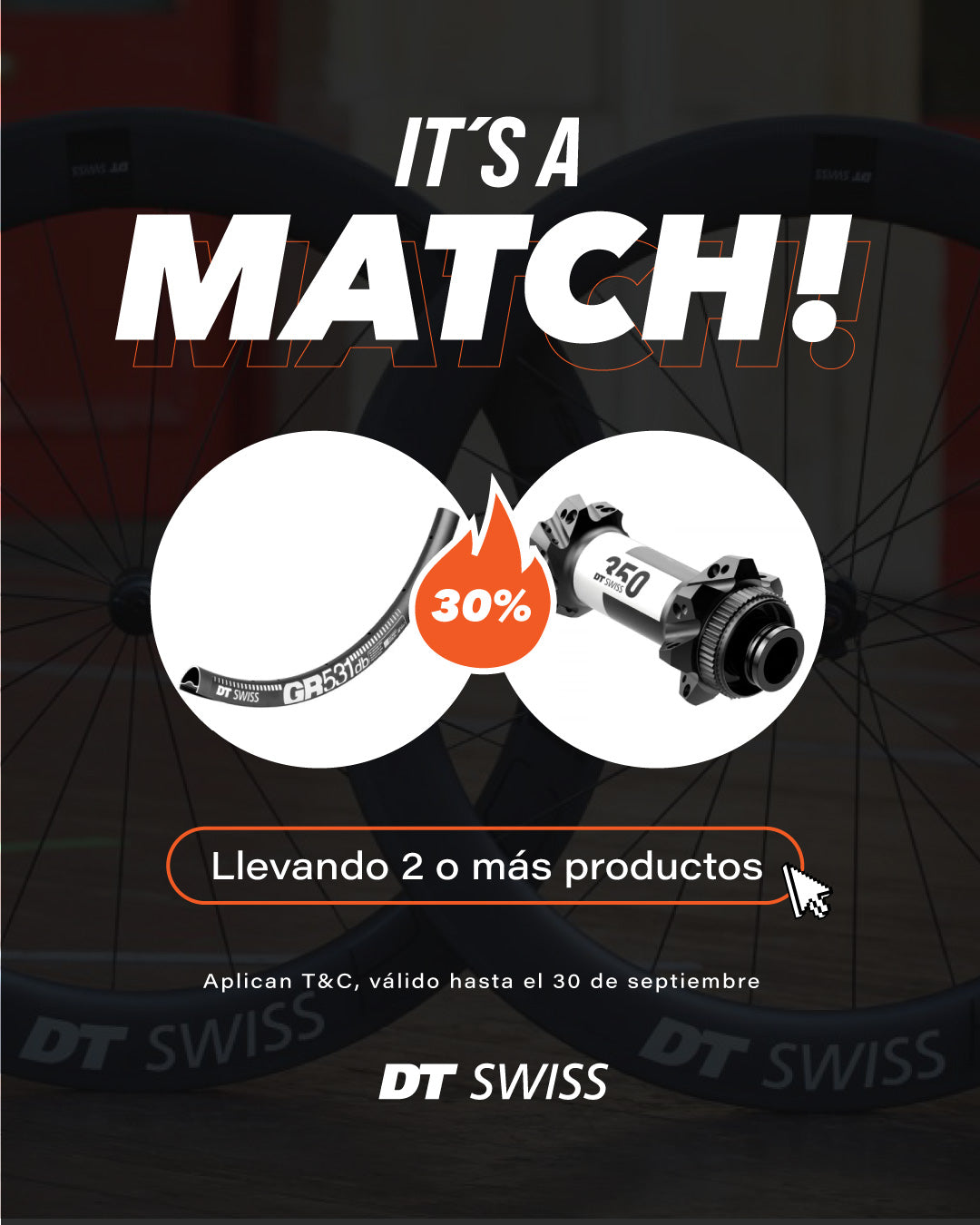DT Swiss