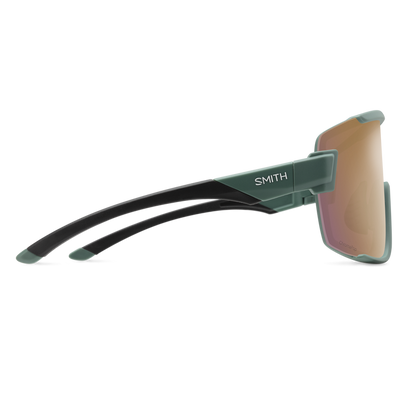 Gafas Smith Wildcat