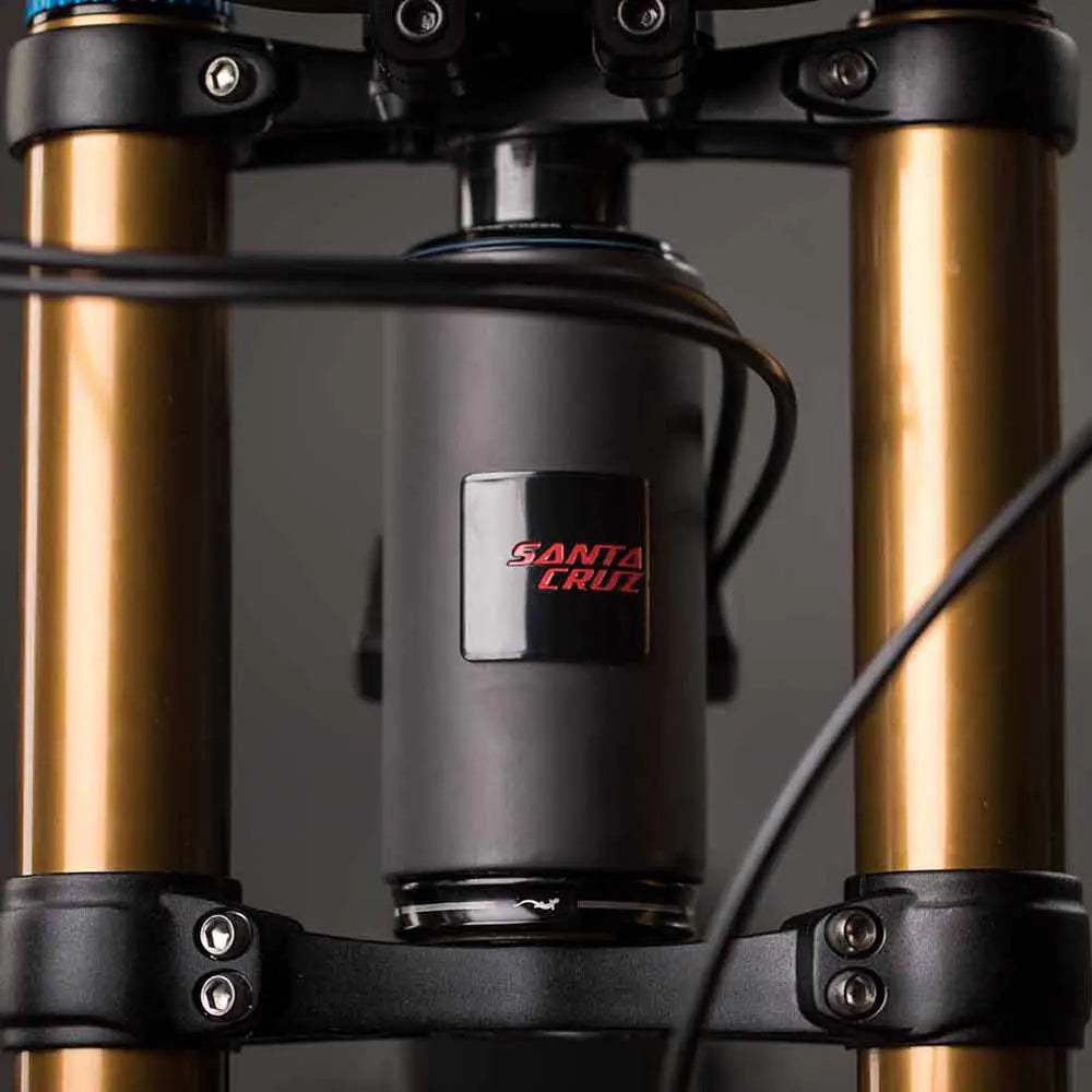 Cuadro santa discount cruz v10