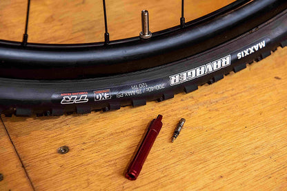 Gusanillo Notubes Para Válvula X Und